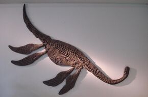 Seeleyosaurus guilelmiimperatoris 2.JPG