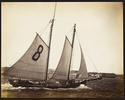 Stebbins-Pilot-boat-Sylph-1878.jpg