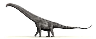 Hypothetical drawing showing Argentinosaurus in side view as it could have appeared in life