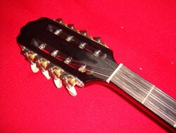 Bouzouki 8 tuners 6 strings.JPG