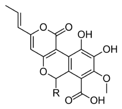 Cyathuscavin general structure.svg