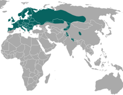 Eurasian Pygmy Shrew area.png