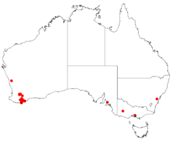 Hakea baxteriDistMap12.png