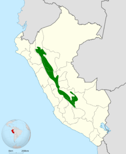 Iridosornis reinhardti map.svg
