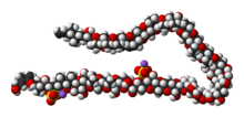 Space-filling model of the maitotoxin molecule