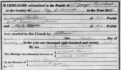 Marriage record of Joseph Stannard and Emily Coppin.jpg