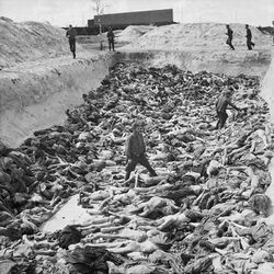 Photo of a mass grave at the Bergen-Belsen concentration camp