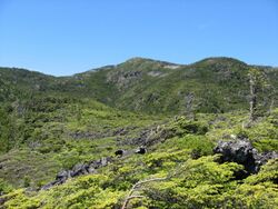 Mt.Kitayokodake from Tsuboniwa.JPG