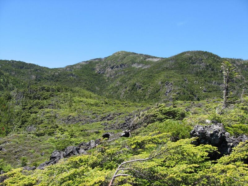 File:Mt.Kitayokodake from Tsuboniwa.JPG