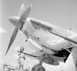 Pilot 6 Sqn RAF with Hurricane IID at Shandur c1942.jpg
