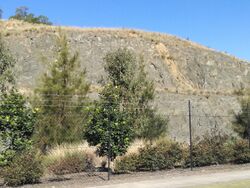 Prospect Hill Quarry.jpg
