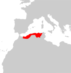 Psammodromus blanci range Map.png