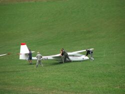 SZD-50-3 Puchacz glider.jpg