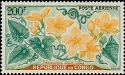 Stamp of Congo, Republic (Brazzaville) - 1961 - Colnect 516600 - Cogniauxia podolaena.jpeg