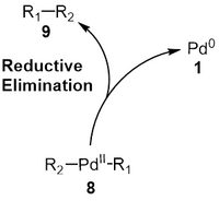 Reductive elimination step in the catalytic cycle of Suzuki reaction.