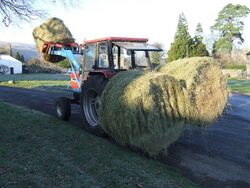 Winter feed...Hay Bales 'parked' on the village green - geograph.org.uk - 636804.jpg
