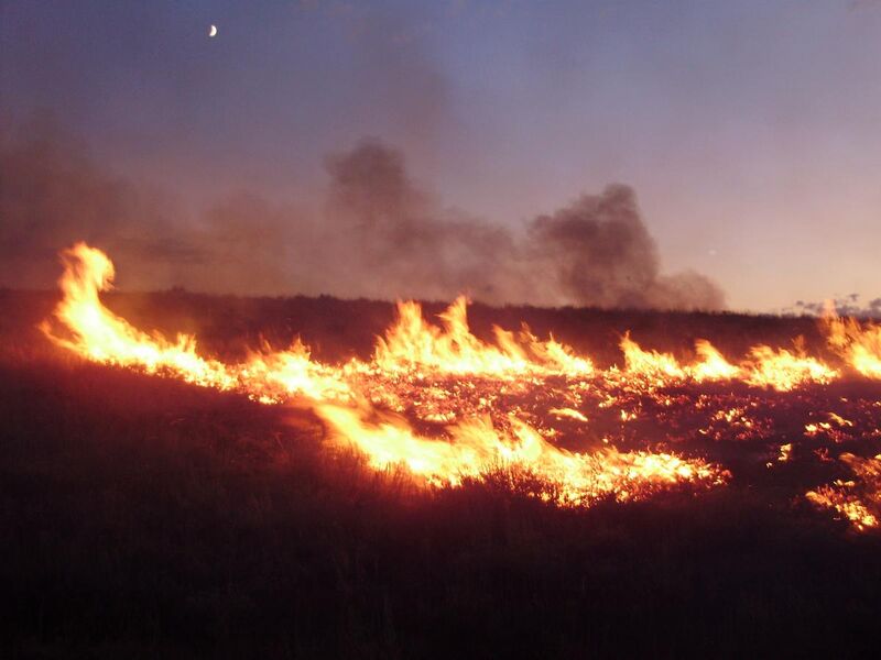 File:2011-08-04 20 00 00 Susie Fire in the Adobe Range west of Elko Nevada.jpg