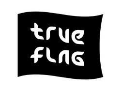 Ambigram true flag.png