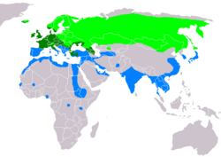 Anas crecca distribution map.png