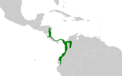 Cantorchilus nigricapillus map.svg