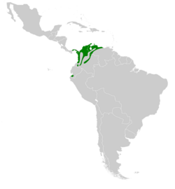 Chalybura buffonii map.svg