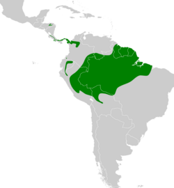 Deconychura longicauda map.svg