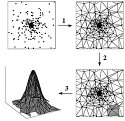 Delaunay tessellation field estimator (overview).jpg