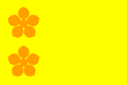 Flag of the Sultanate of Deli.svg