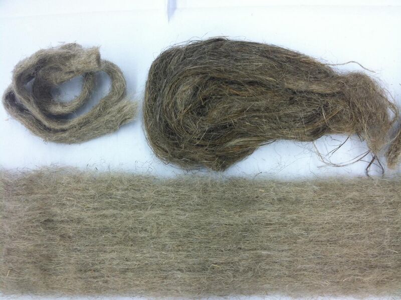 File:Flax fibers.JPG