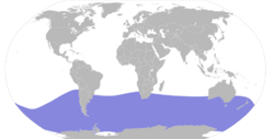 Fulmarus glacialoides map.svg