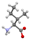 Ball-and-stick model of L-isoleucine