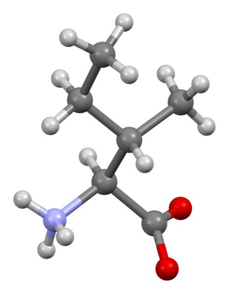 File:Isoleucine-from-xtal-3D-bs-17.png