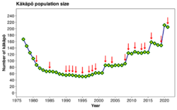 Kakapo-population-size.svg