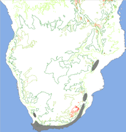 Leucospermum distribution.svg