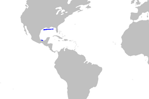 Mustelus sinusmexicanus distmap.png