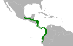 Sporophila corvina map.svg