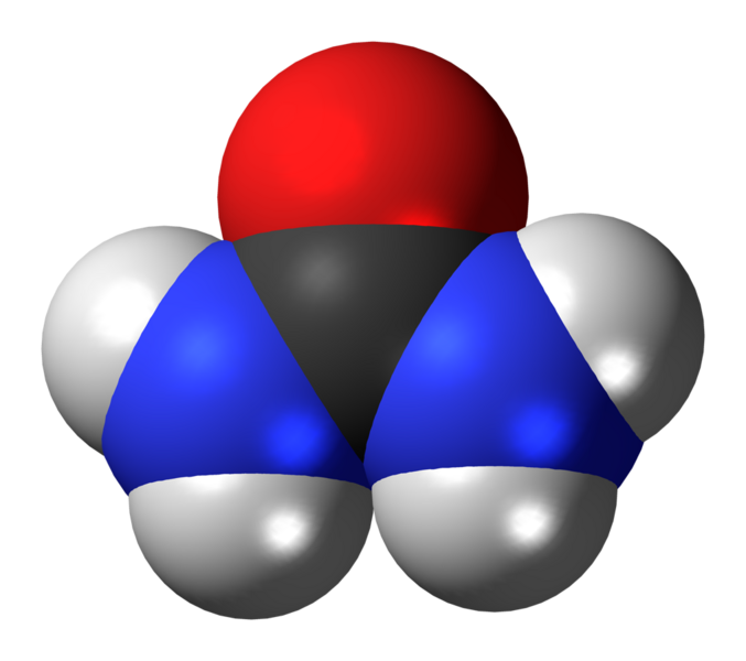 File:Urea 3D spacefill.png
