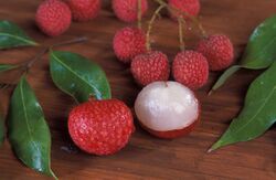 ARS Litchi chinensis.jpg