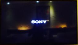 A picture of a Sony logo during turning On with the Sony BRAVIA.