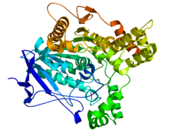 Acethylcholinesterase TC 1EA5.png