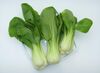 Baby Pak Choi (01).JPG