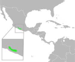 Bufo perplexus distribution.svg