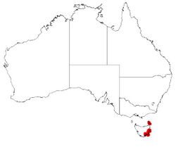 Hakea megadenia DistMap.jpg