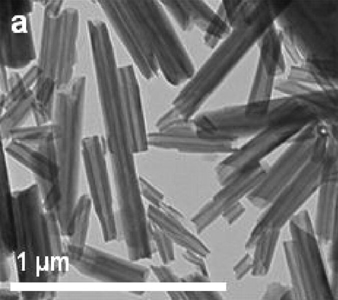 File:Halloysite nanotubes TEM.jpg