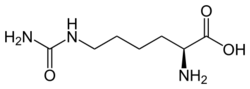 Homocitrulline.svg