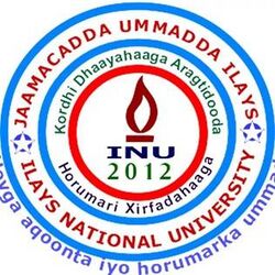 Ilays Logo.jpg