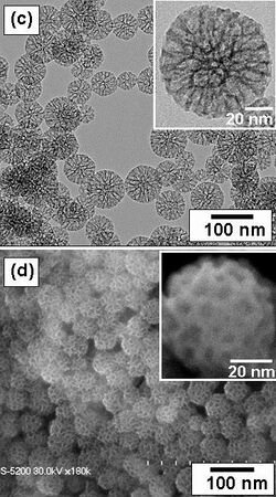 Mesoporous Silica Nanoparticle2.jpg