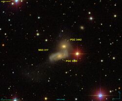 NGC 0317 SDSS.jpg