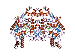 PDB 3nse EBI.jpg