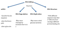 RNA Editing.png